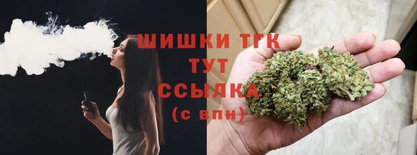 Альфа ПВП Новозыбков