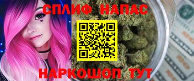 индика Беслан