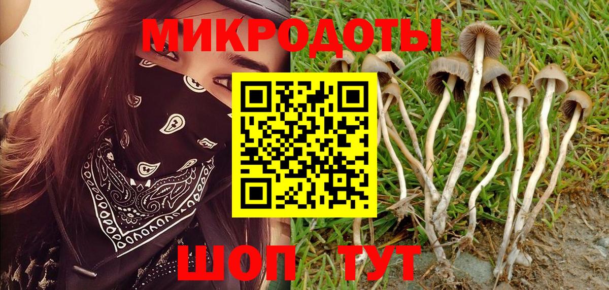 Галлюциногенные грибы мицелий Ялуторовск
